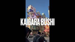 KAIGARA BUSHI Japanese folk song [upl. by Vevine262]