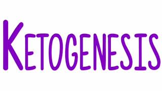 Ketogenesis  Definition Examples of ketone bodies amp classificationSite of synthesis amp Pathway [upl. by Ytirahc]