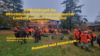 Drückjagd in MecklenburgVorpommern LudwigslustParchim  DrückjagdJournal Vlog  Folge 0323 [upl. by Ahsienak826]