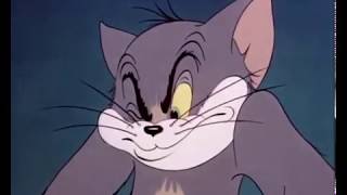 Tom and Jerry Episode 4 Fraidy Cat Part 3 [upl. by Ettessil]