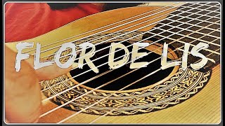 Flor de Lis Djavan instrumental cover violão de 11 cordas 11string guitar [upl. by Vitek]