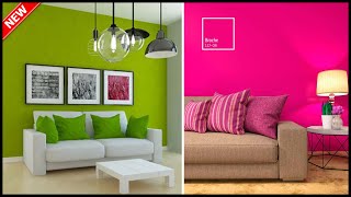 Best colour combination for painting  Interior colour combination  Gopal Home Decor [upl. by Laurice]