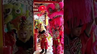 Múa Lân Tôn Ngộ Không tonytv mualanhay liondance thinhhanh mualanongdia vuinhon muaongdia [upl. by Adnamal346]