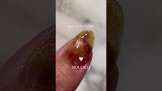 【How to nail art 】べっこうネイル tortoiseshell nails nails マグネットネイル ネイル nollico nailart nailtutorial [upl. by Paddie]