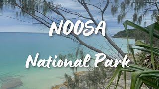 Noosa heads  Walking in Noosa National Park [upl. by Novert]