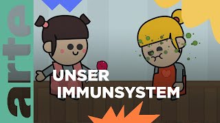 Wie funktioniert unser Immunsystem  Eure Fragen  ARTE Family [upl. by Idnahs439]