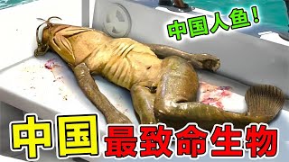 中国“最致命”的10大生物，入侵中国12个省份，导致70万人死亡top10 動物世界 地球最top 地球之最 非洲 科普 [upl. by Ravert]