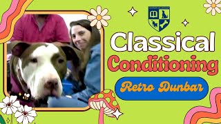 Adult Dog Training  Classical Conditioning  Retro Dunbar S1E2 [upl. by Yllehs]