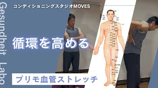 第3の循環器系を刺激して循環を高める【プリモ血管ストレッチ】 [upl. by Neb]