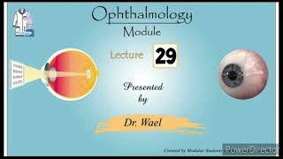 29 Ocular Motility 4 Concomitant Squint  Dr Wael Ophthalmology [upl. by Naejarual]