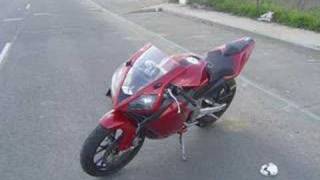 Derbi Gpr 50 Racing Tuning [upl. by Dolphin708]