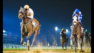 LIVE DubaiWorldCup 2022  9 races 305 million prize money  watch it all on DubaiOneTV DWC22 [upl. by Esinwahs]