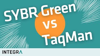 SYBR Green vs TaqMan – How qPCR works [upl. by Ammamaria]