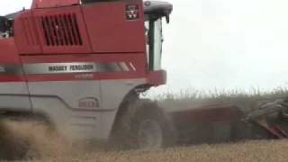 Massey Fergusons new flagship 500HP combine  the Delta [upl. by Illona]