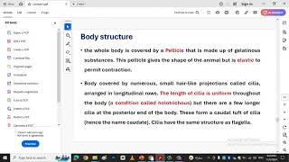 Paramecium invertebrates kingdom protista [upl. by Anella635]