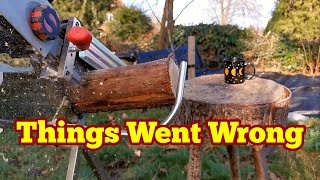 Chainsaw What Went Wrong Cutting Firewood [upl. by Ravo]