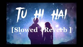 Tu Hi Hai slowed Reverb 🥰🥰vlog sad love attitudestatus viral trending travel song [upl. by Rednaeel792]