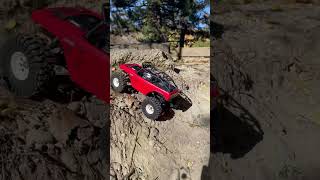 Crawling up the river bank scx24 rc axial shorts [upl. by Raseac]