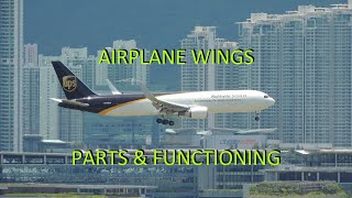 Parts and Functioning of Airplane Wings [upl. by Necyla]