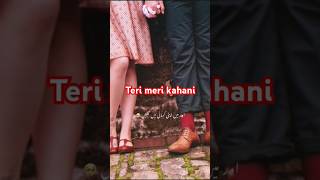 Teri meri kahani ❤️ viralshort ytshorts deepurdulines love by Feelings Fiction ❤️ Subscribe plz [upl. by Mota464]