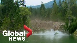 EPIC mudslide caught on camera Raw Video [upl. by Malia572]