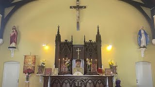 Traditional Latin Mass Perth WA is live St Gertrude of the Holy Souls in Purgatory [upl. by Hugon128]