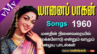 Uyarvu thaazhvu illamaleyPSYAANAI PAAGAN 1960Tamil movie songs vMv [upl. by Larkin]