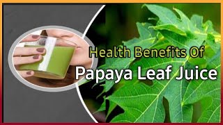 Papaya Leaves Health Benefit  Deciphering Its Antioxidant BioactivesBiological Activities dengue [upl. by Satsoc252]