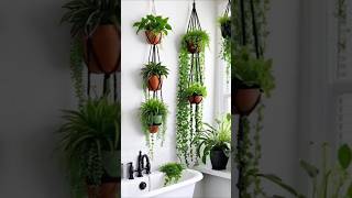 Bathroom plants decor ☘️ bathroom plants decor youtubeshorts youtube shorts fyp subscribe ❤️ [upl. by Ximenez]