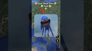 Giant Shine Sonic Real Life 😶‍🌫️😱 on google maps and google earth 🌎 shots hrgoogleearth [upl. by Pheni739]