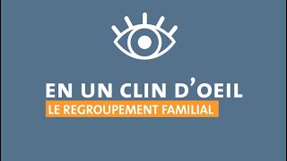 Le regroupement familial en Belgique  QuestionsRéponses QampA [upl. by Concettina366]