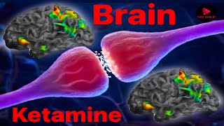 How does ketamine heal the Brain [upl. by Yruok31]