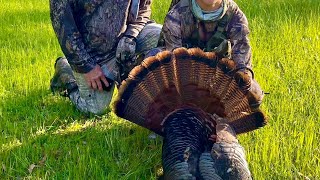 2024 turkey season [upl. by Eisele]