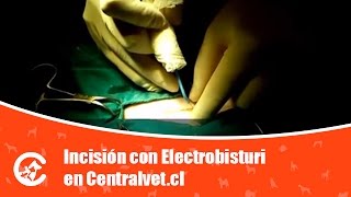 Incisión con Electrobisturi en Centralvetcl [upl. by Carlye]