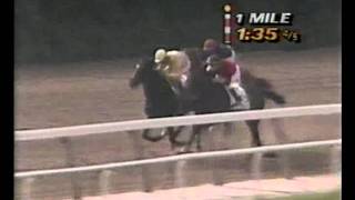 1989 Belmont Stakes  Easy Goer [upl. by Nayk]