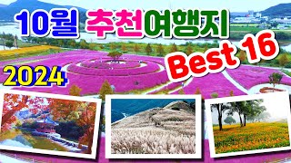 2024년 10월에 가면 좋은 국내 여행지 추천 Best 16 황매산 억새축제 합천 핑크뮬리 간월재억새 순창 강천산 진주남강축제 감악산 아스타국화 민둥산 억새축제 [upl. by Lehar]