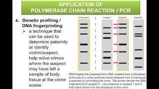 Polymerase Chain Reaction PCR amp its application [upl. by Yorgo]