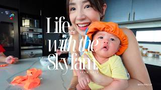 Life as a stay at home Mom of 3 Saxons 2 month update New POV Camera [upl. by Notkcorb229]