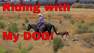 Trail Riding with My Dog Buster [upl. by Aicire]