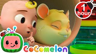 Jellybean the Sleepy Hamster  CoComelon Animal Time  Learning with Animals  Nursery Rhymes [upl. by Hanus165]