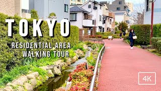 Tokyo Japan 🇯🇵  Komaba and Setagaya residencial area walking tour  February 2023  4K 60fps [upl. by Yesor]