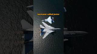 F14 Tomcat AI Backseater is Actually Useful dcs simulation [upl. by Aicirtac]