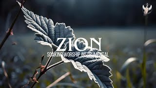 Zion  Soaking Worship Instrumental  Prayer and Devotional [upl. by Ecad]