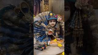 Kanhaiya kanhaiya pukara karenge bankebihari bhaktistatus vrindavan [upl. by Aiuqcaj]