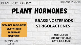 Brassinosteriods and Strigolactones  Intro Signalling Transport Functions  CSIRNET JRF  GATE [upl. by Garlaand]