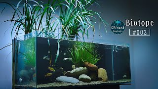 Aquascaping for beginners step by step setup tutorial tank  Shinark Aquascaper  2 [upl. by Aleehs]