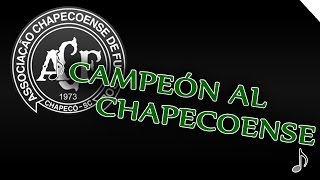 ♪ Campeón al Chapecoense ♪  Homenagem dos torcedores do Atlético Nacional ForçaChape [upl. by Cecily107]