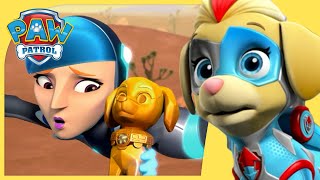 Mighty Pups Stop Lad Bird and MORE  PAW Patrol  Cartoons for Kids [upl. by Silas]