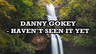 Danny Gokey  Havent Seen it Yet Lyrics [upl. by Sirrad]