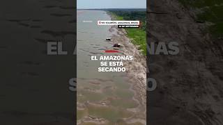 Imágenes satelitales muestran partes del Amazonas secándose [upl. by Jerome928]